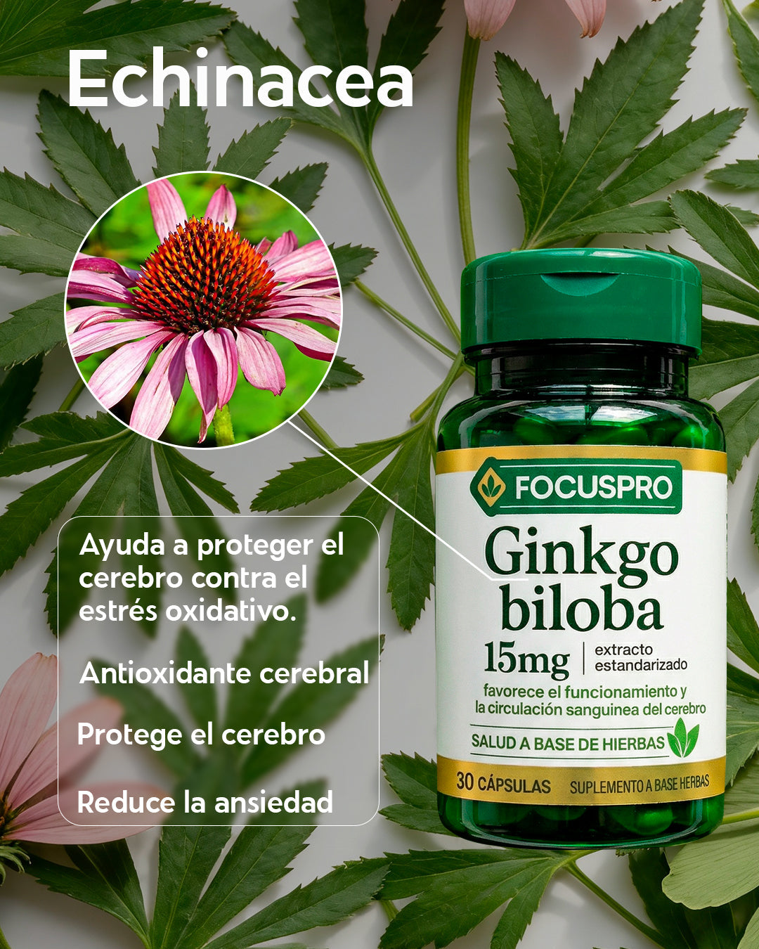 FocusPro - Apoyo para Memoria, Enfoque y Bienestar Mental | 30 Cápsulas 💊